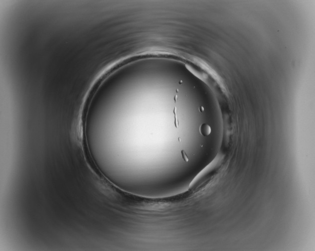 X0000099961372200805301305