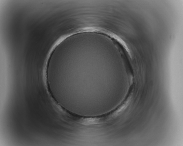 X0000099961373200805301305