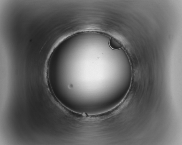 X0000099961374200805301305