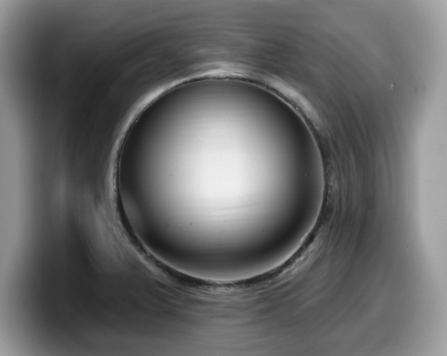X0000099961375200805301305