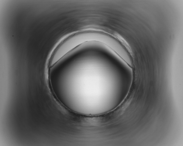 X0000099961376200805301305