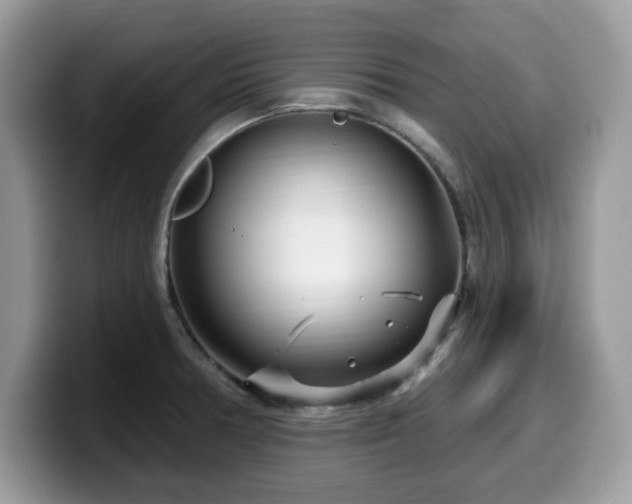 X0000099961378200805301305