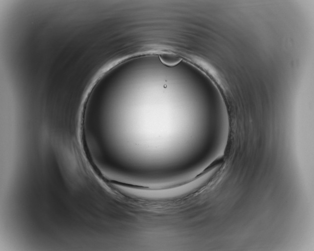 X0000099961379200805301305