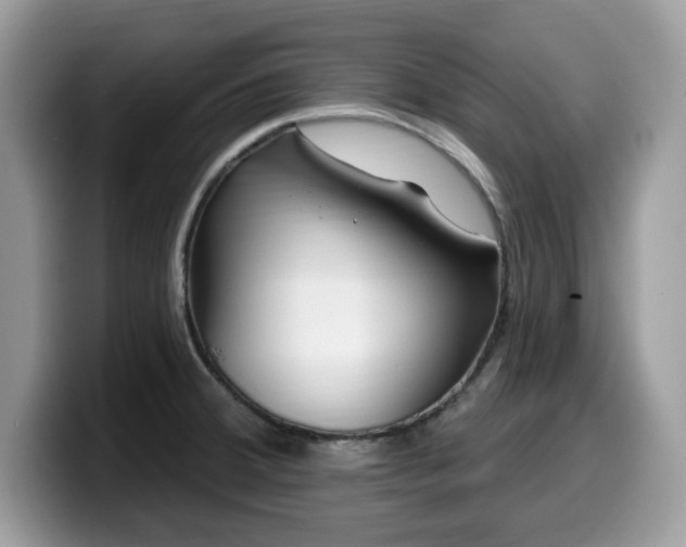 X0000099961380200805301305