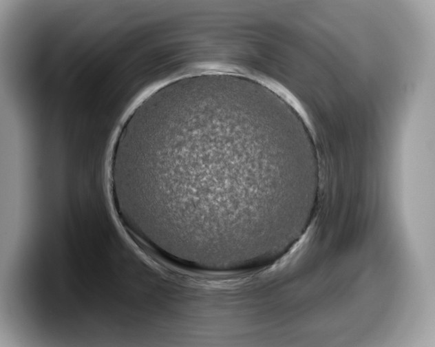 X0000099961381200805301305
