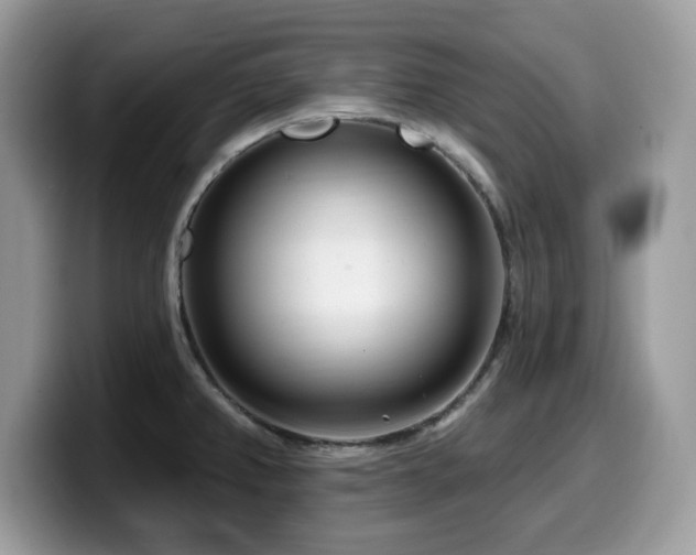 X0000099961382200805301305