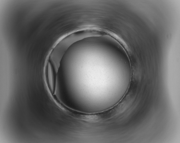X0000099961383200805301305