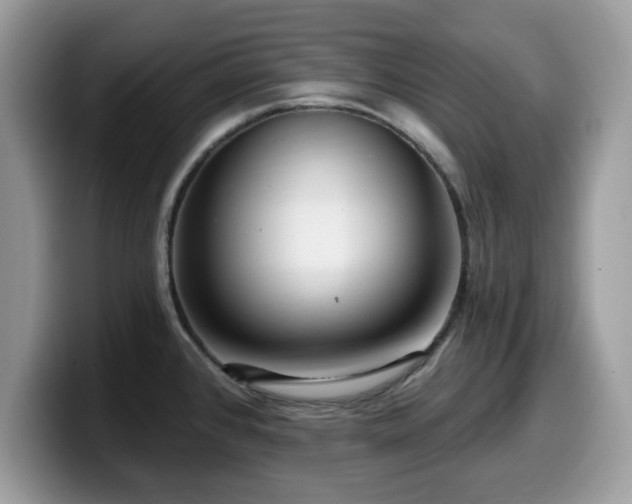 X0000099961384200805301305