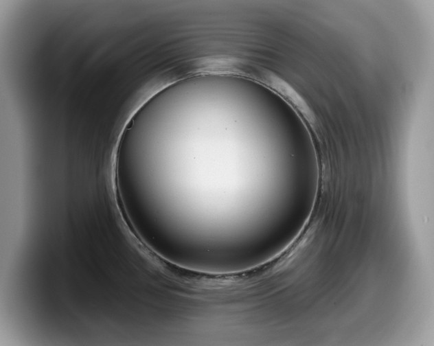 X0000099961386200805301305