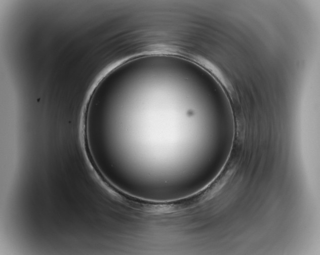 X0000099961387200805301305