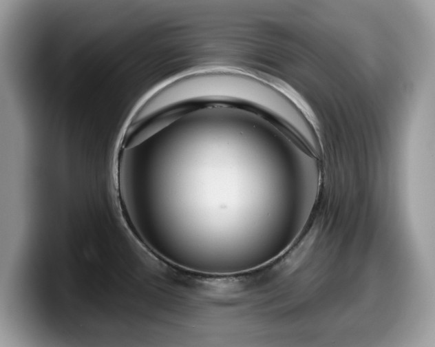 X0000099961388200805301305