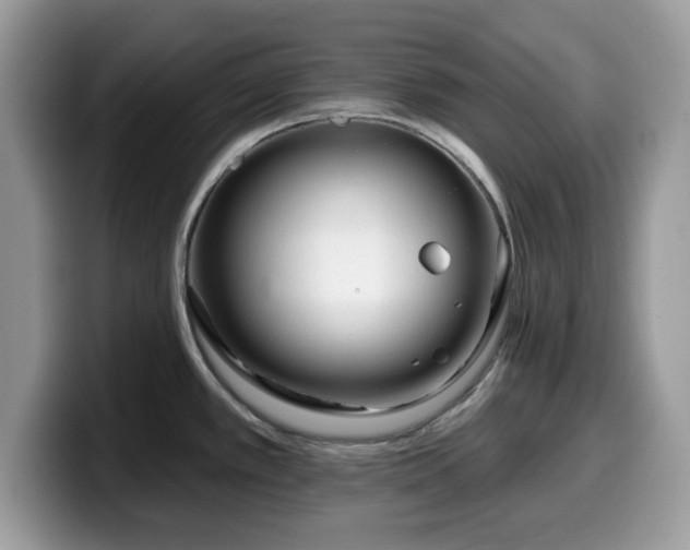 X0000099961389200805301305