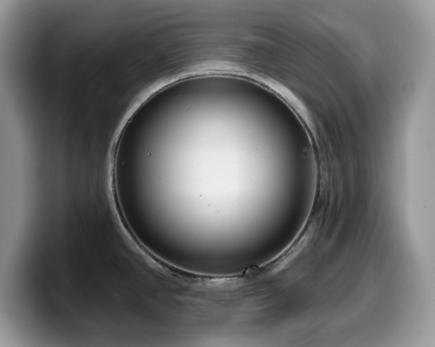 X0000099961390200805301305