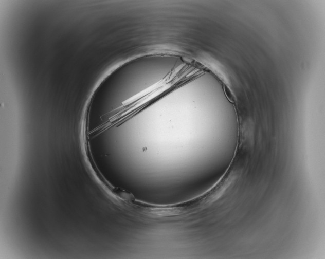 X0000099961391200805301305