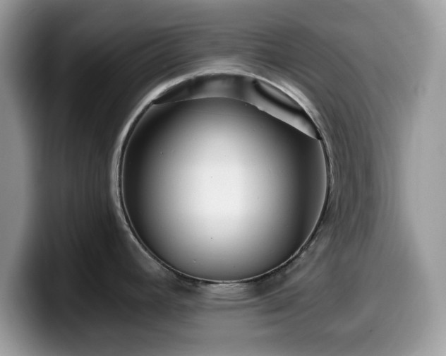 X0000099961392200805301305