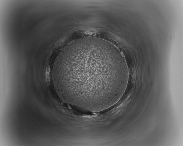 X0000099961394200805301304