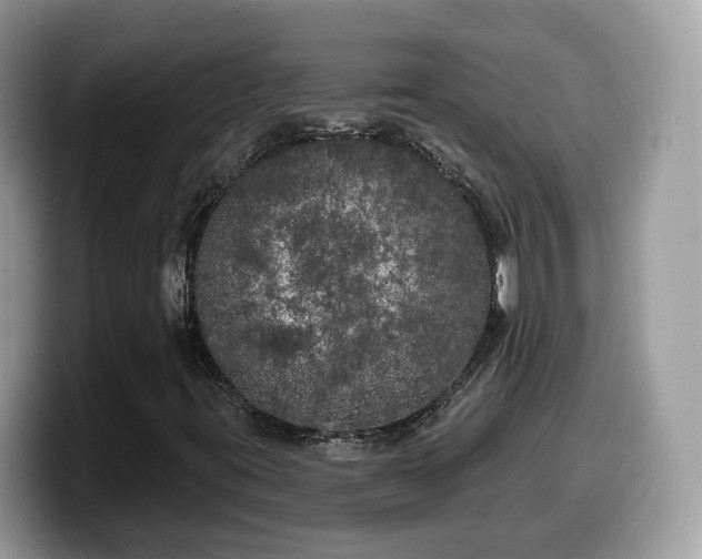 X0000099961395200805301305