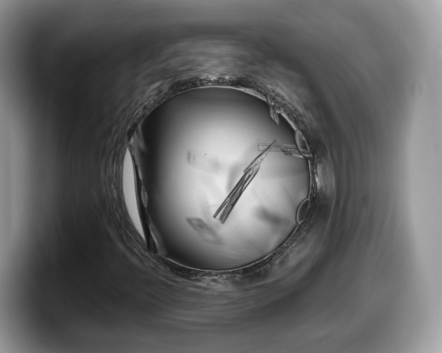 X0000099961396200805301305