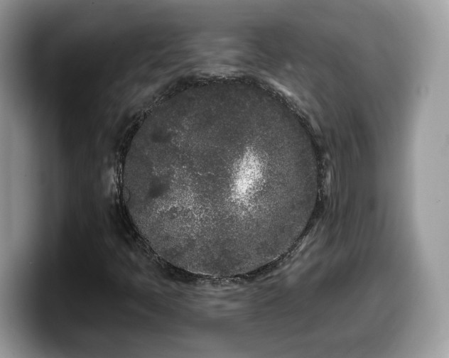 X0000099961397200805301305