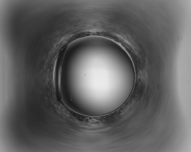 X0000099961398200805301305