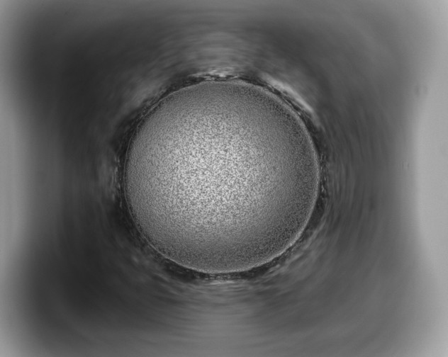 X0000099961399200805301305