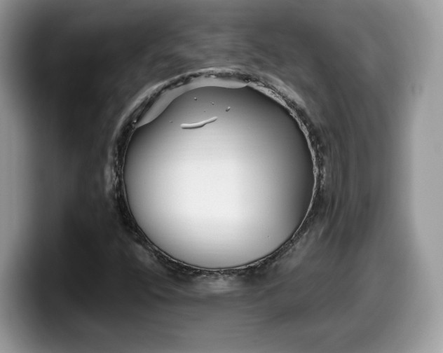X0000099961400200805301305