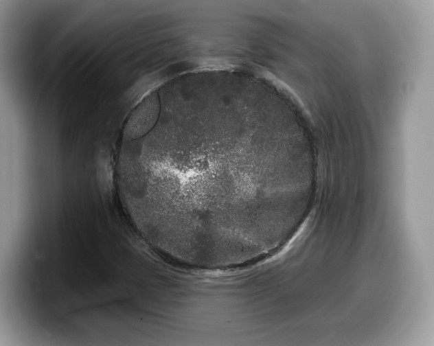 X0000099961401200805301305