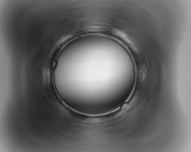 X0000099961402200805301305