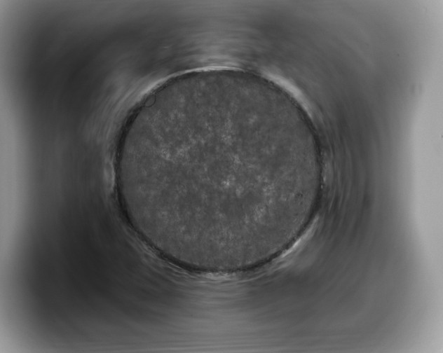X0000099961407200805301305