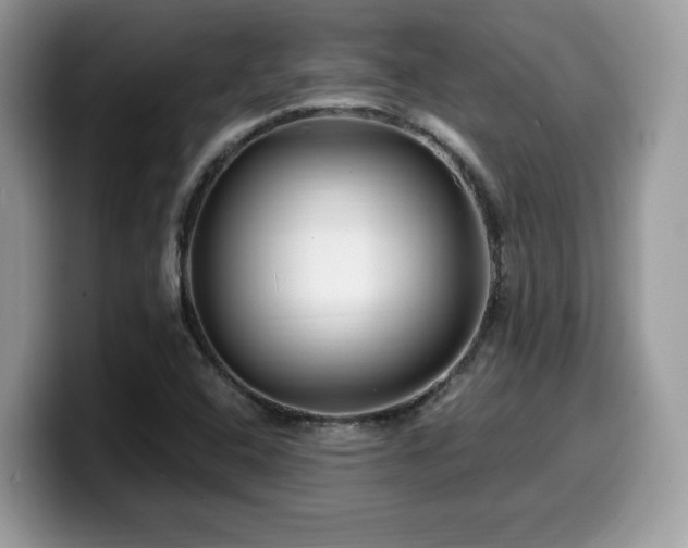 X0000099961408200805301305
