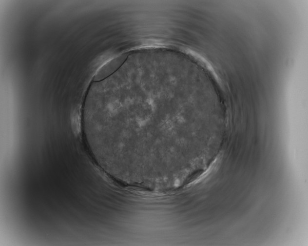 X0000099961409200805301305