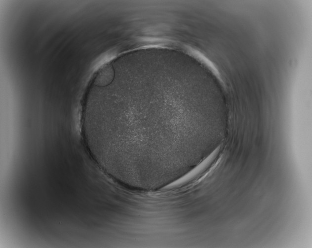 X0000099961411200805301305