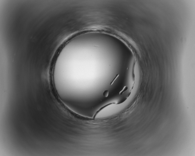 X0000099961412200805301305