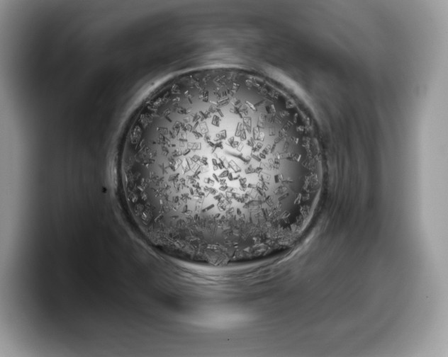 X0000099961415200805301305