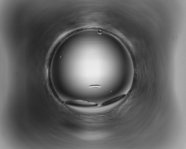 X0000099961416200805301305