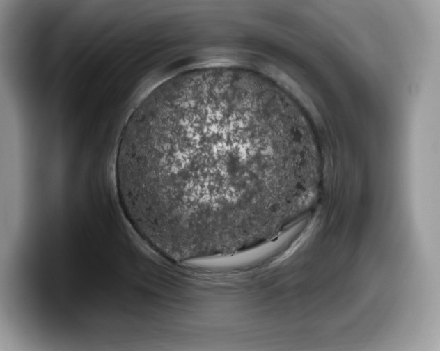 X0000099961417200805301305