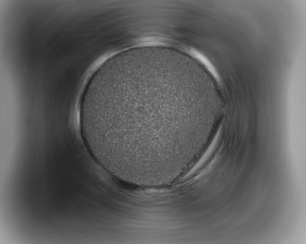 X0000099961419200805301305