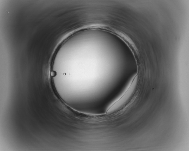 X0000099961420200805301305