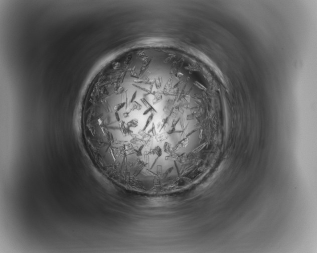 X0000099961421200805301305
