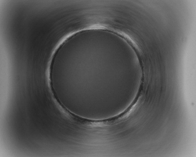 X0000099961422200805301305