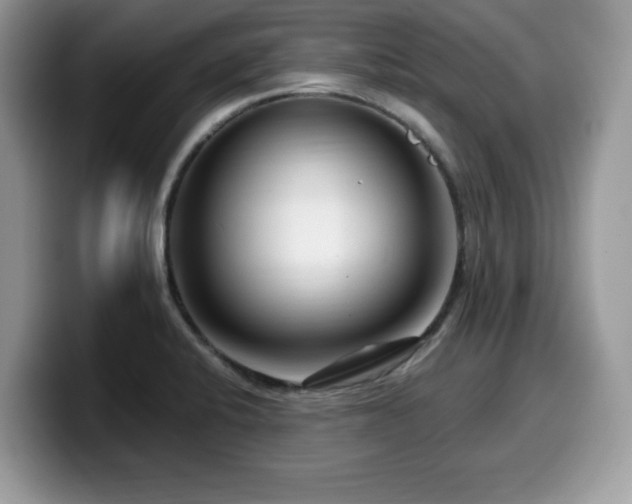 X0000099961424200805301305