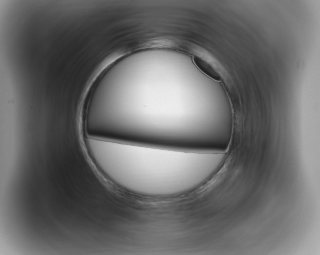 X0000099961426200805301305