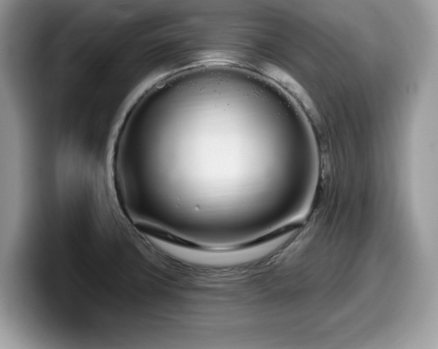 X0000099961427200805301305