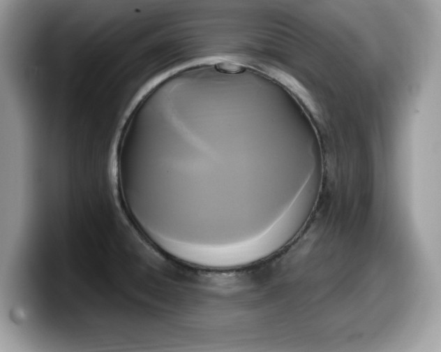 X0000099961428200805301305