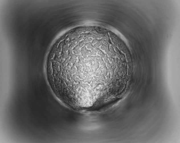 X0000099961429200805301305