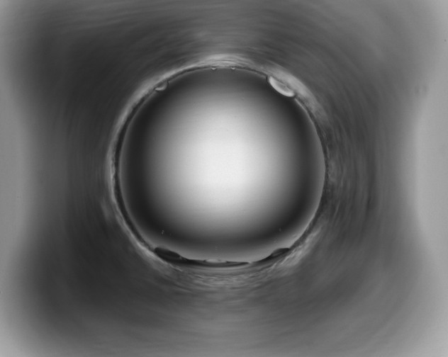 X0000099961430200805301305