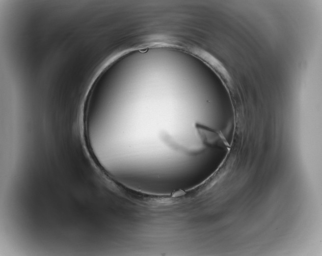 X0000099961431200805301305