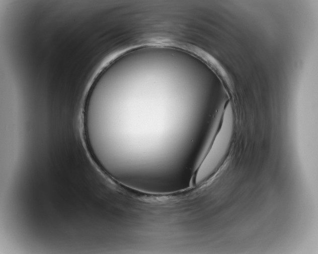 X0000099961432200805301305