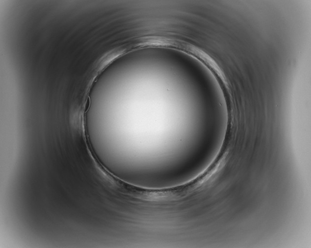 X0000099961433200805301305