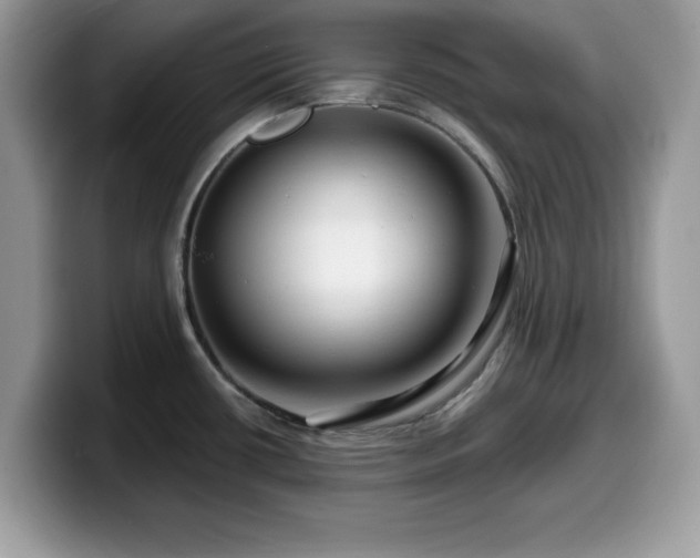 X0000099961434200805301305